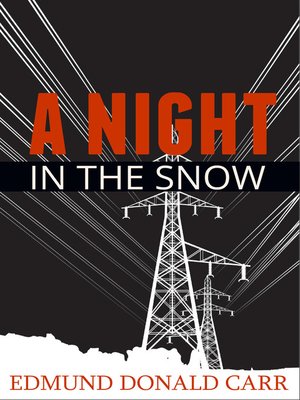 cover image of A Night in the Snow